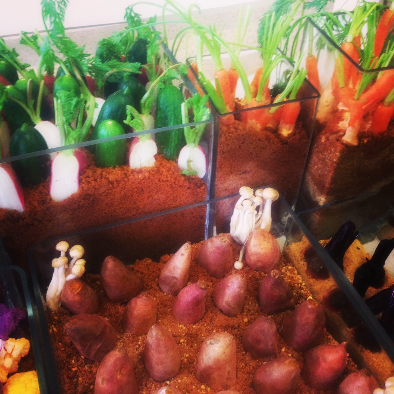 An edible garden, even the dirt! An edible garden, even the dirt