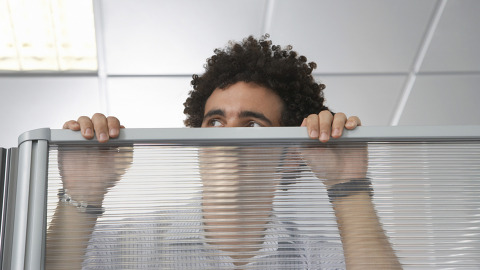 Open Plan Office may be making you sick