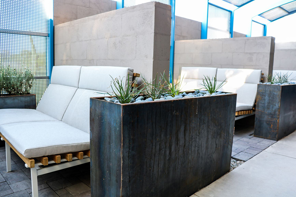 University of Arizona College of Veterinary Medicine